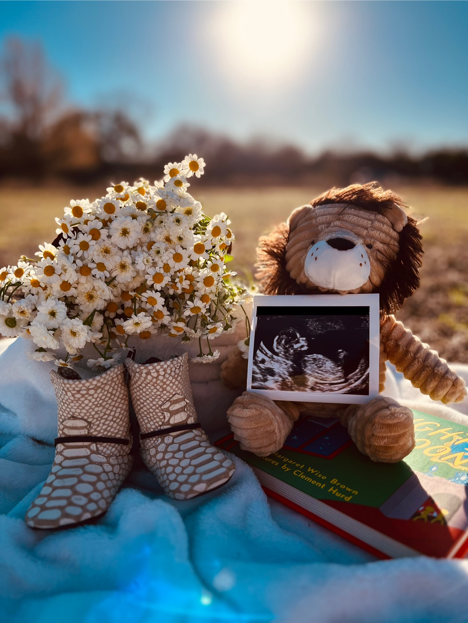 Baby photo 4